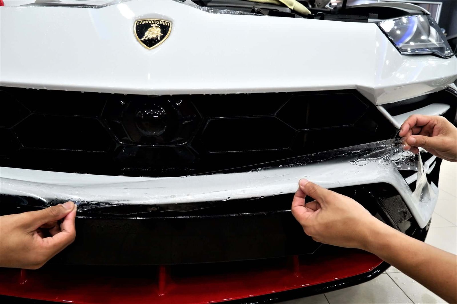 161666276_4244789492232580_1688703054669844633_n_1